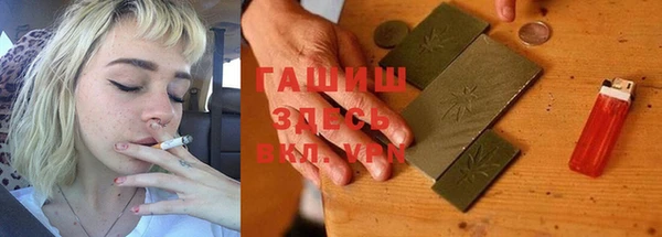 индика Пестово