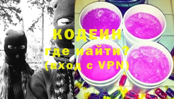 индика Пестово