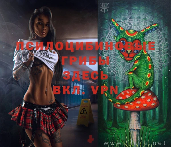 прущая мука Пересвет