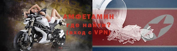 индика Пестово