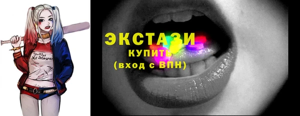 индика Пестово
