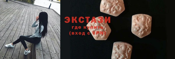 индика Пестово