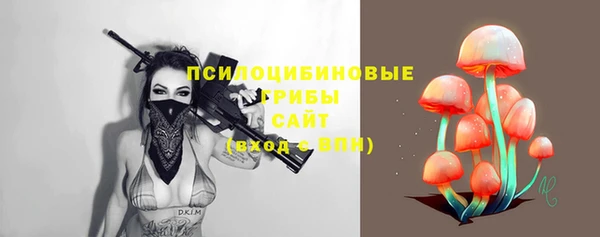 индика Пестово