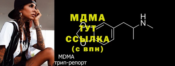 индика Пестово