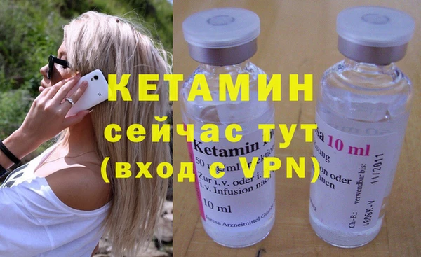 индика Пестово