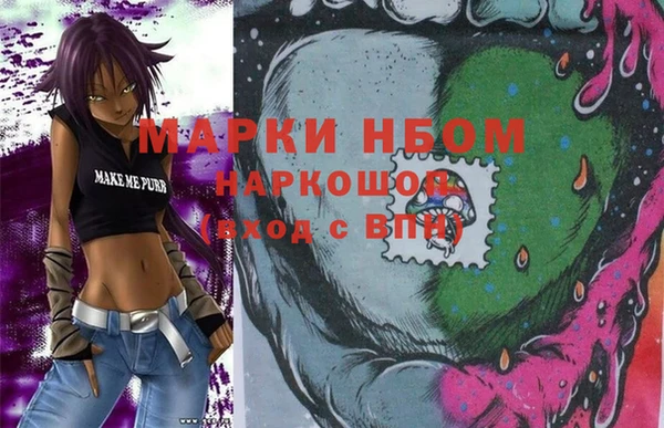 индика Пестово