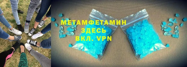 индика Пестово