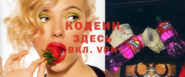 индика Пестово