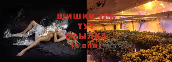 прущая мука Пересвет