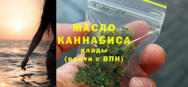 индика Пестово