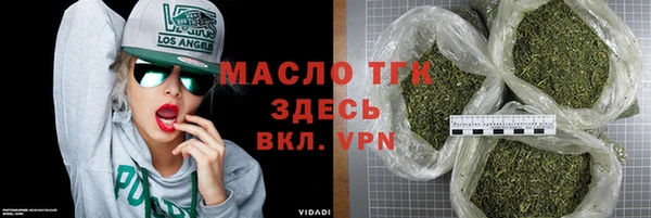 индика Пестово